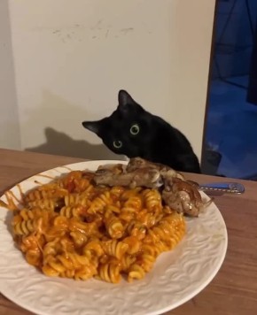 ���� ��������. ���������� ������� � ��������