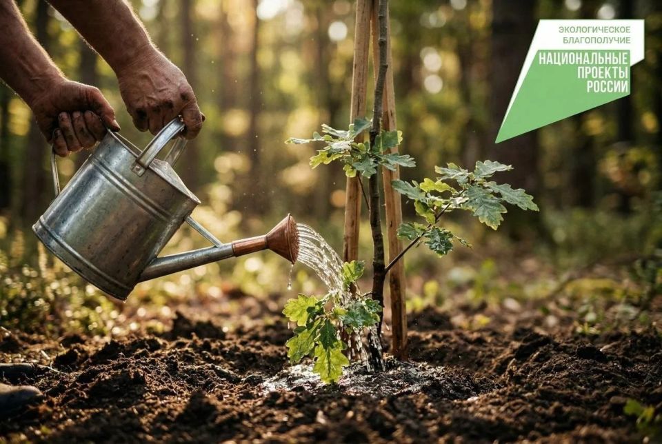 ������ ��������: ��������� ���������. ���� ������� �������� ����������� ���������� ��������