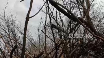 �������������� ������ ������� �-30 ����������� ����� ������ ��������� ������� ����� ��� �� ���������������� �����������