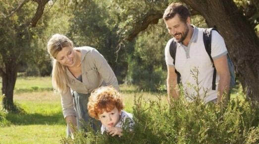 ����������� ������� ������ ������� �� ������ ������ ��������� ��������