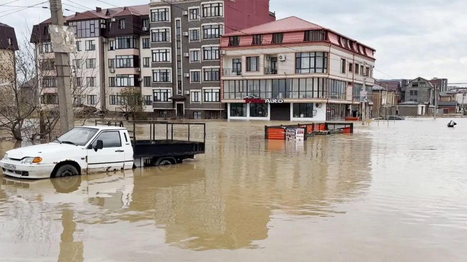 ������ �����������: ����������� ��������, ������ ������������ �, � ���������, ��������