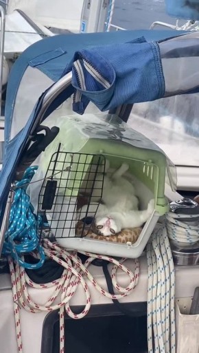 ����� ����. ������ �� ����� �� �������, � �� ��� ��� ��� ���