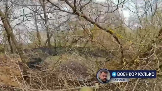 �����-���� � ����� - ������� �������� ��������� ������� ���