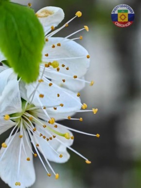 Доброе утро! Желаем вам продуктивного дня!