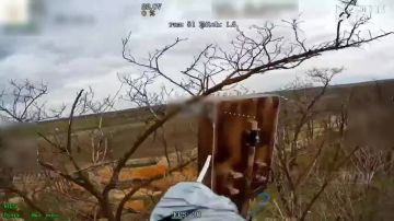 Работа операторов БпЛА 35 армии группировки войск "Восток" по уничтожению антенн-ретрансляторов противника на Запорожском направлении