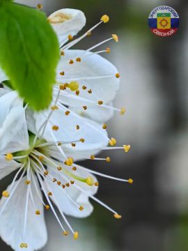 Доброе утро! Желаем вам продуктивного дня!