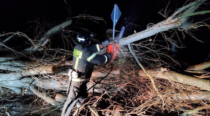 � ����������� ������� �������� ���������� ��������������