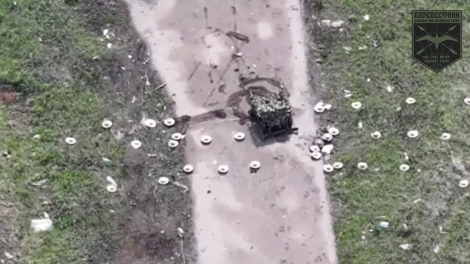 ������ ������ ������������: ���� ��������� ������ ���� �� ��-62 �� ����� �� �������� ������