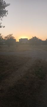 � ������ �����, � ����������� ����!