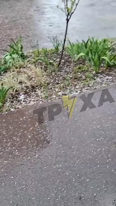 ��� ����� ���� ������ ������ �� ������� ������� � ���������