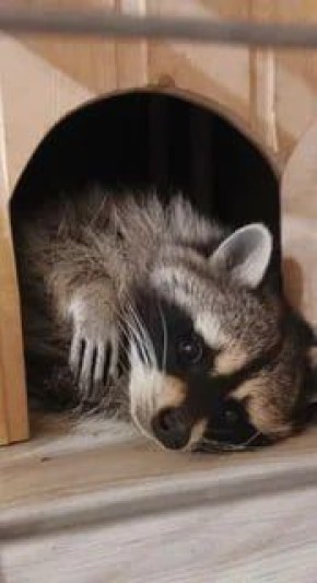 Доброй ночи, дорогие подписчики! Доброй ночи, Запорожье!