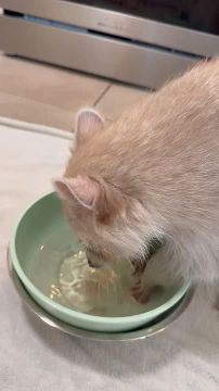 Доброе утро, друзья! Хорошего вам дня и отличного настроения!