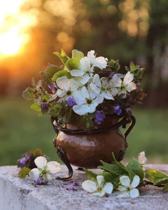 ������ �����!