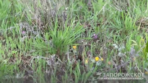 � ��������� ����������, ����� ���������� ����, ������������ ������ ����������