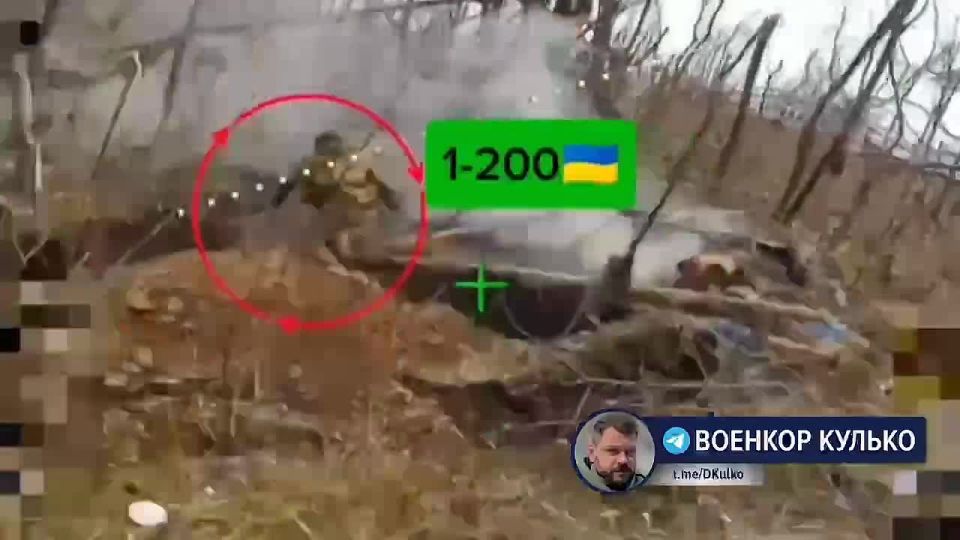 ��������������. ����������� ����� ���� ���