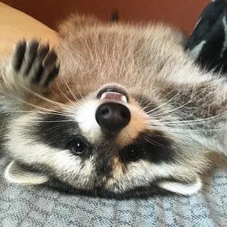 ������ ����, ������� ����������! ������ ����, ���������!