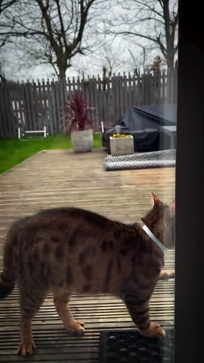 ���� �������. ����� ��������� � ��������