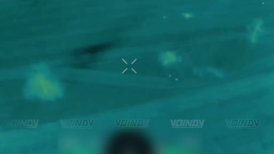 ������ ���������� ���� 29 ����� ����������� ����� "������" �� ����������� ����� ���� ���������� �� ����������� �����������