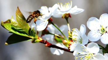 Доброе утро. А вы знали, что сегодня