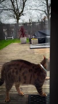 ���� �������. ����� ��������� � ��������