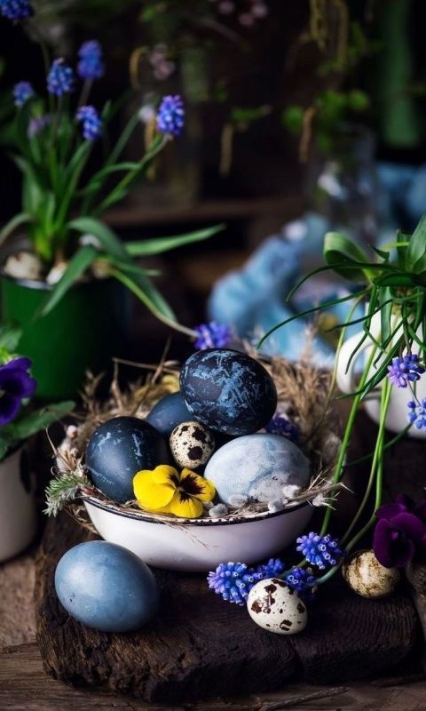 ����������� ��� ����!