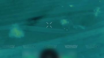 ������ ���������� ���� 29 ����� ����������� ����� "������" �� ����������� ����� ���� ���������� �� ����������� �����������