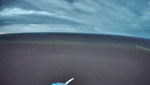 ������������ � ����-��������� �����������