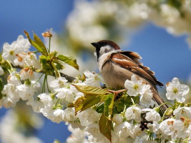 ������ ����. � �� �����, ��� �������