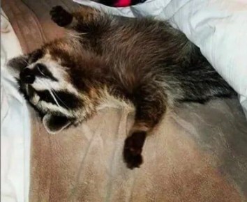 Доброй ночи, дорогие подписчики! Доброй ночи, Запорожье!