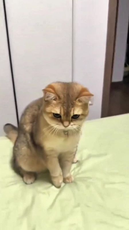 ��� � �����. ����� ���� ����� ������� � ��������