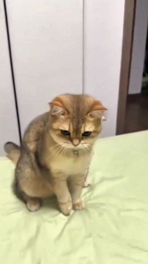 Вот и вечер. Перед сном можно немного и поиграть