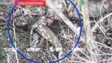 ������ ������ ���������� ���� 36 ����� ����������� ����� "������" �� ����������� ����� ���� ���������� �� ����������� �����������