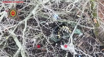 ��� ������: ���������� ����������� ������������ ������