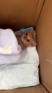 Новый день. Бодро встречаем воскресенье