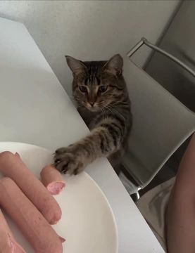 �������� ���������. ������� � ������� ������ �����