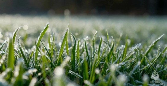 ���������� ��������������. ����� � ����� 14, 15 � 16 ������ ������� � ����������� ������� ��������� ��������� � ������� � �� ����������� ����� -1,0...-3,0�