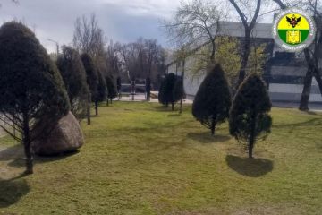 ������������� ���������� ������ ���������� ���������� ��������� ������ �� ����������� ������� � ������ ����� ������