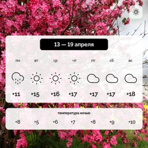 ������ � ����������� ������� �� 13 � 19 ������