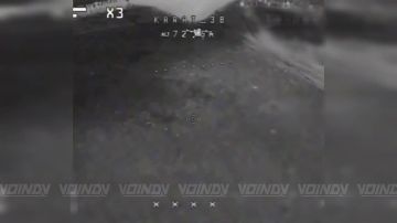 ��������� 38 ������� 35 ����� ������� ���� ����������� ������� �� ���������� ������� �������������