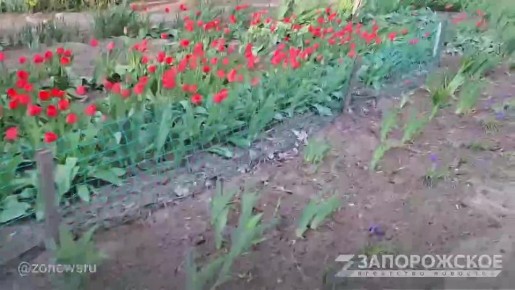 ����� �������� ������ �� ����������