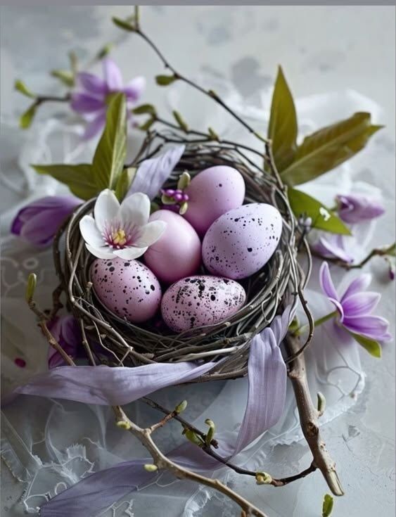 ������� ���� ����!