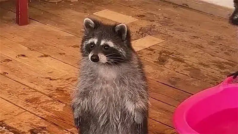 ������ ����, ������! �������� ��� ��� � ��������� ����������!