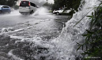 Погода на новых территориях России