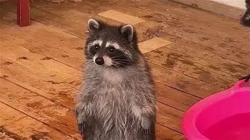 Доброе утро, друзья! Хорошего вам дня и отличного настроения!