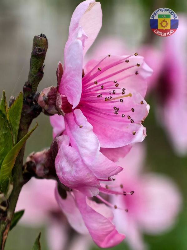 � ������ �����!. ����� ��� ������� ��������� �������� �� ��������� ����������� �������, ������ �������� � ������� ������ �� �����