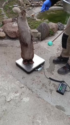 ��� ��������� ����� ����������?