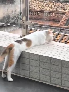 ��� � ����� ������. ����� ��� ����-�� ������, � ���� ������ �� �����