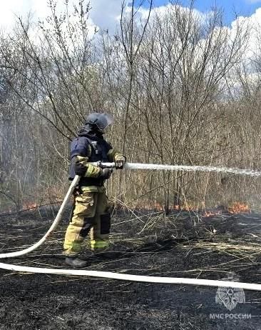 ����������� ���������� �� 13 ������ �� ���������� ����������� �������