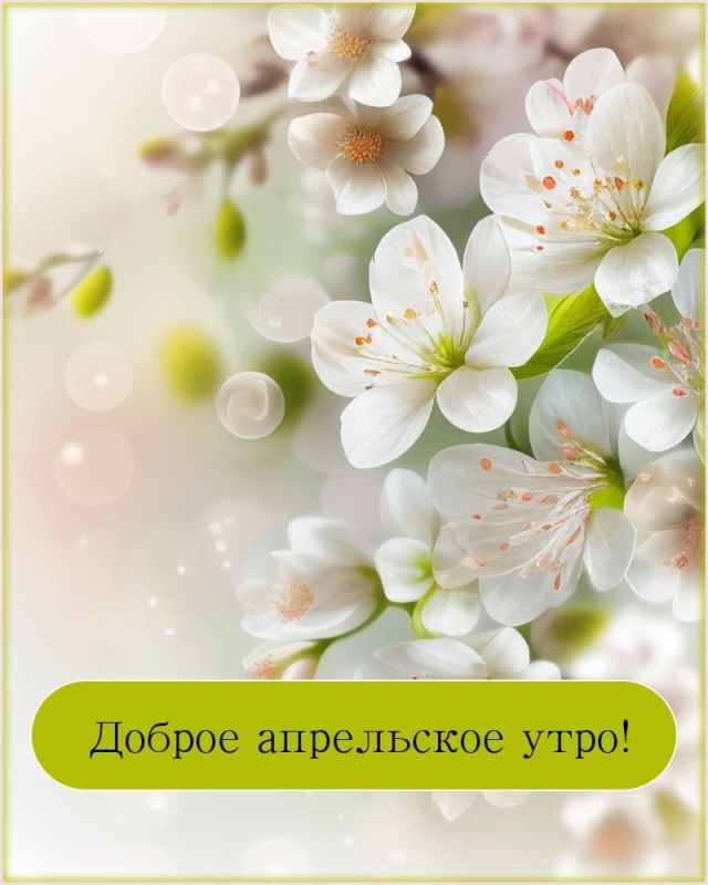 � ������ ����� ������������