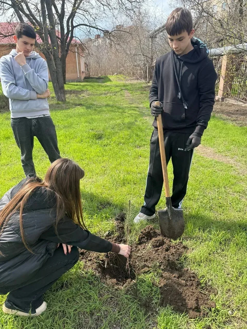 Акция «НАШЕ КЛАССНОЕ ДЕРЕВО»: озеленяем будущее вместе! Акция «НАШЕ КЛАССНОЕ ДЕРЕВО»: озеленяем будущее вместе!